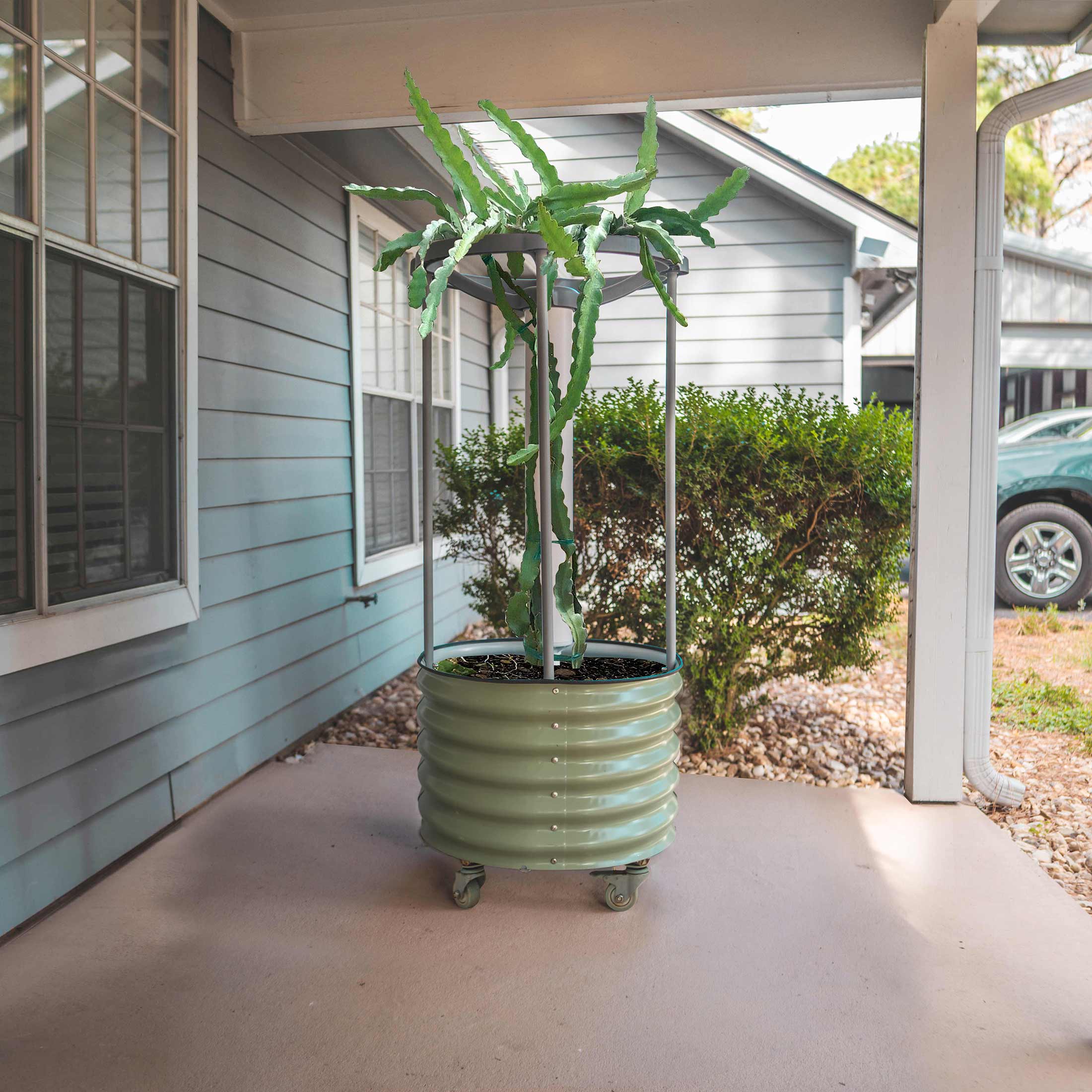 Dragon Fruit Self-Watering Rolling Planter
