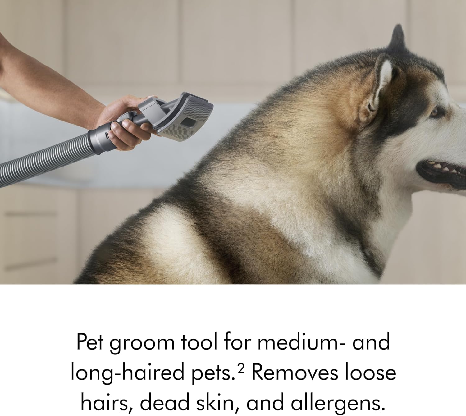 Ball Animal 3 Vacuum Cleaner – Nickel