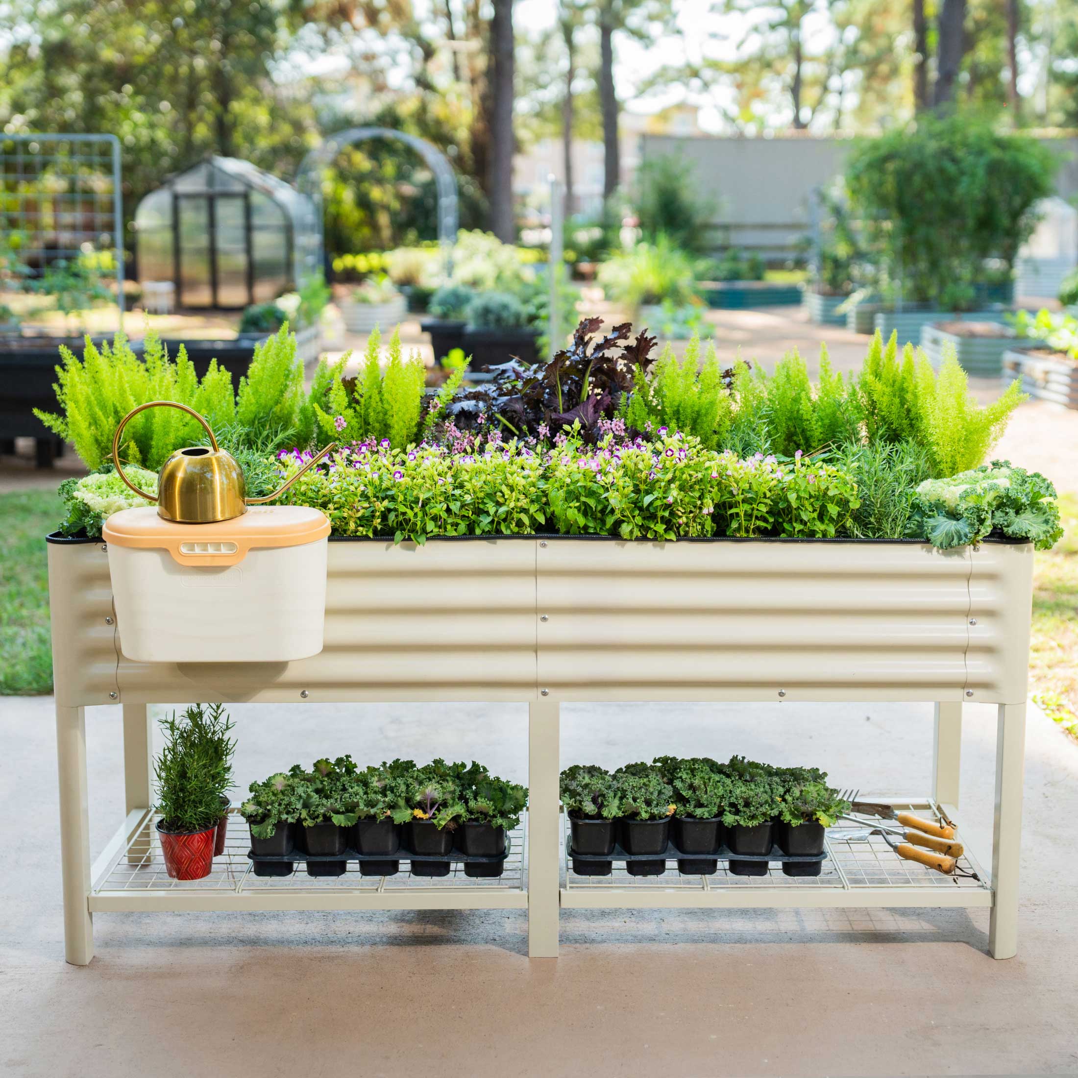 Elevated Garden Bed - V Series 2' x 6'