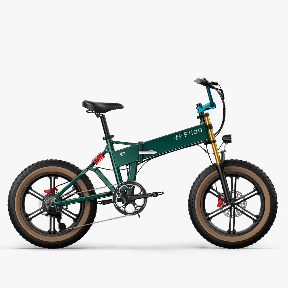 Fiido M1 Pro Electric Bike Big Wheel Fat Bike