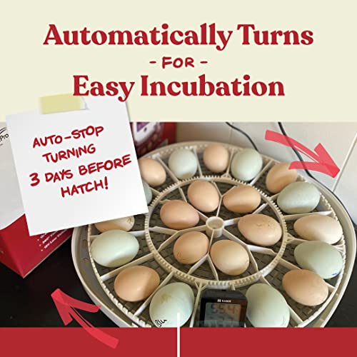 2026 Harris Farms Nurture Right Egg Incubator for Hatching Chicks - Holds 22 Eggs