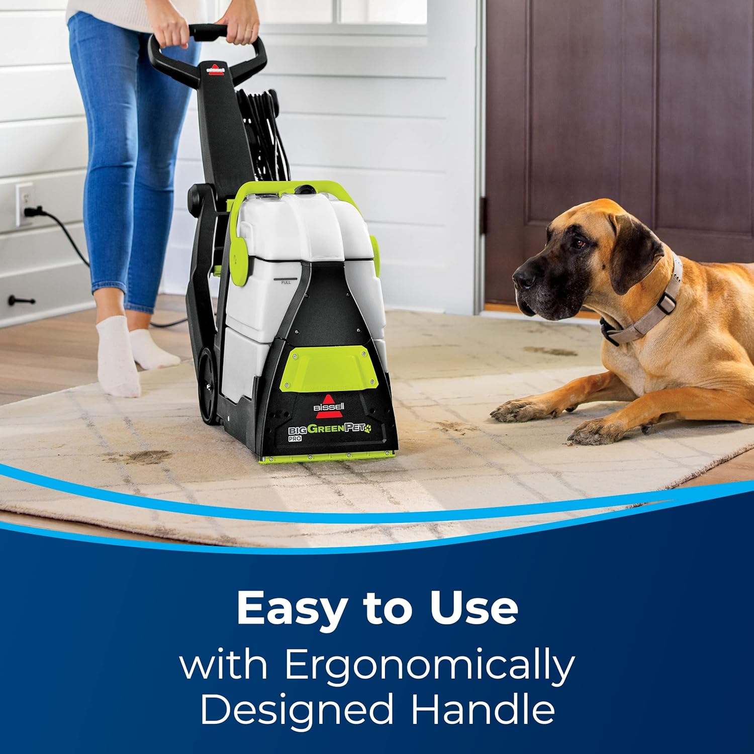 Big Green Professional Carpet Cleaner with Tools