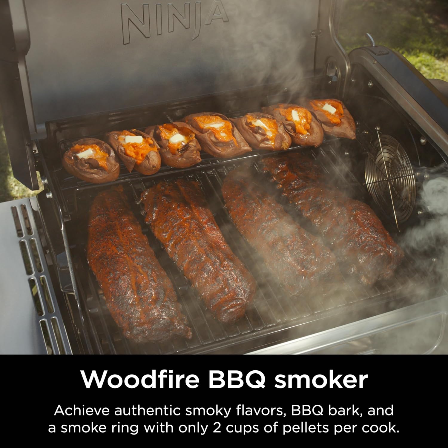 Flexflame 5-in-1 Electric & Propane Grill System