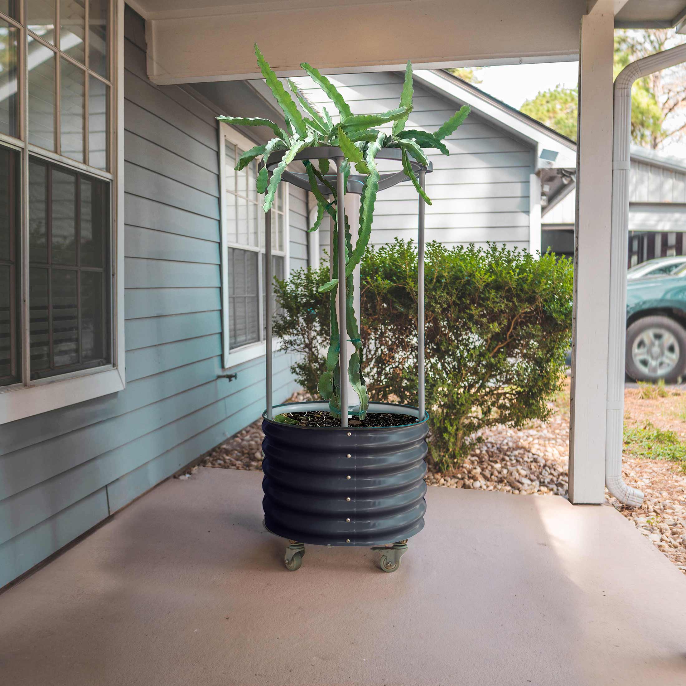 Dragon Fruit Self-Watering Rolling Planter