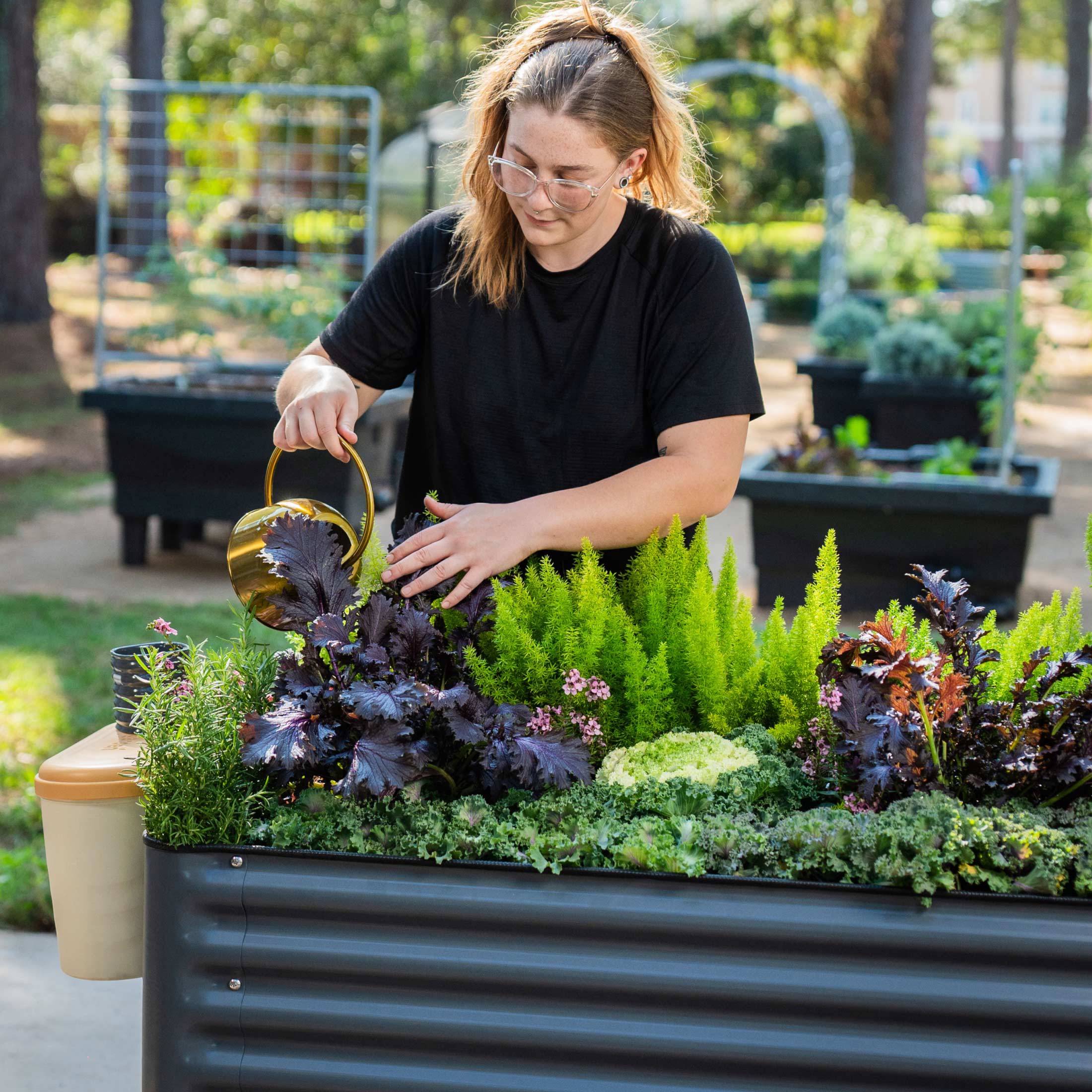 Elevated Garden Bed - V Series 2' x 6'