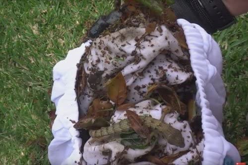 2026 AB Aquabot Classic In-Ground Robotic Swimming Pool Cleaner