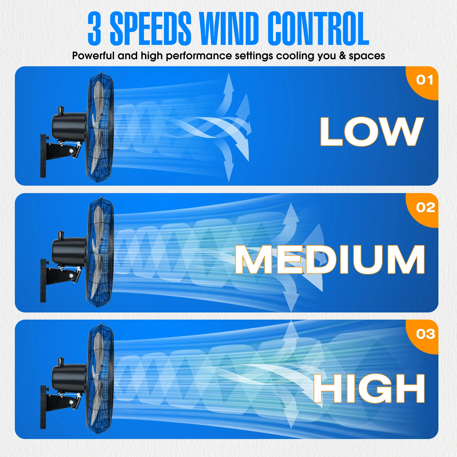 ILG8EOSC18 - iLiving 18