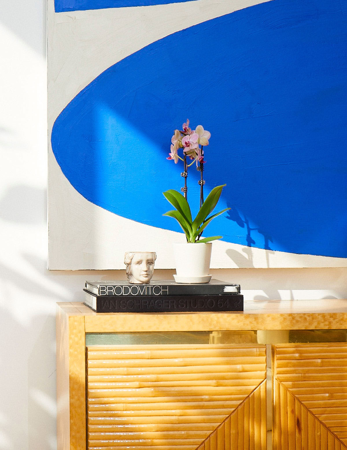 Petite Sunset Orchidee