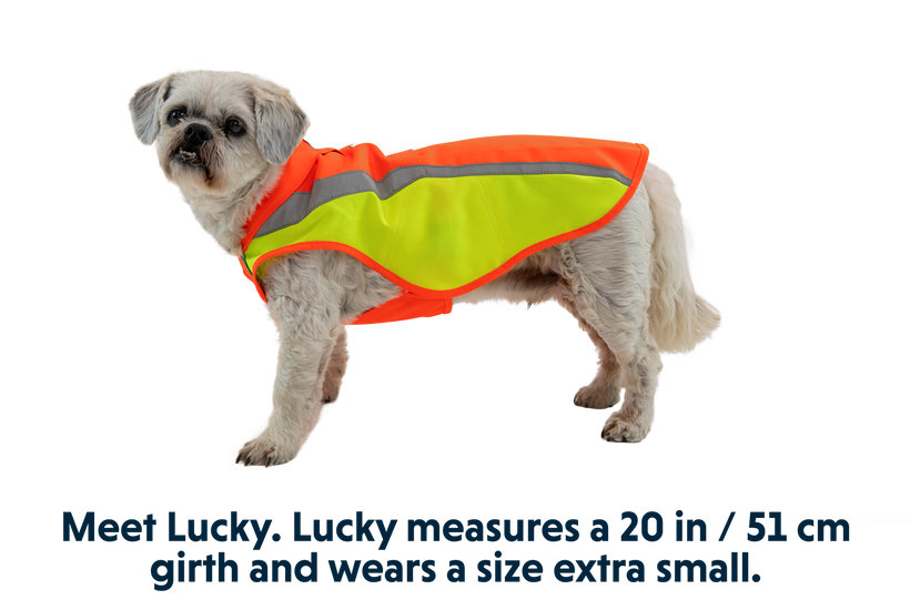 GlowTrail Hi-Vis Dog Jacket