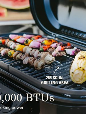 2025 TheraSol  Concentrate  64 oz. (1/2 gallon)