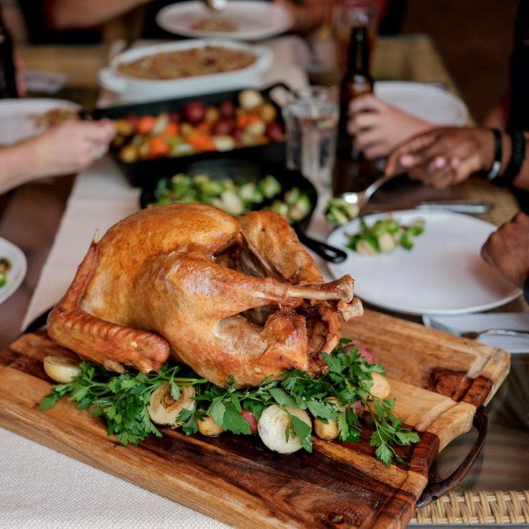 2025 Masterbuilt 10 Liter XL Electric Fryer, Boiler, Steamer in Silver