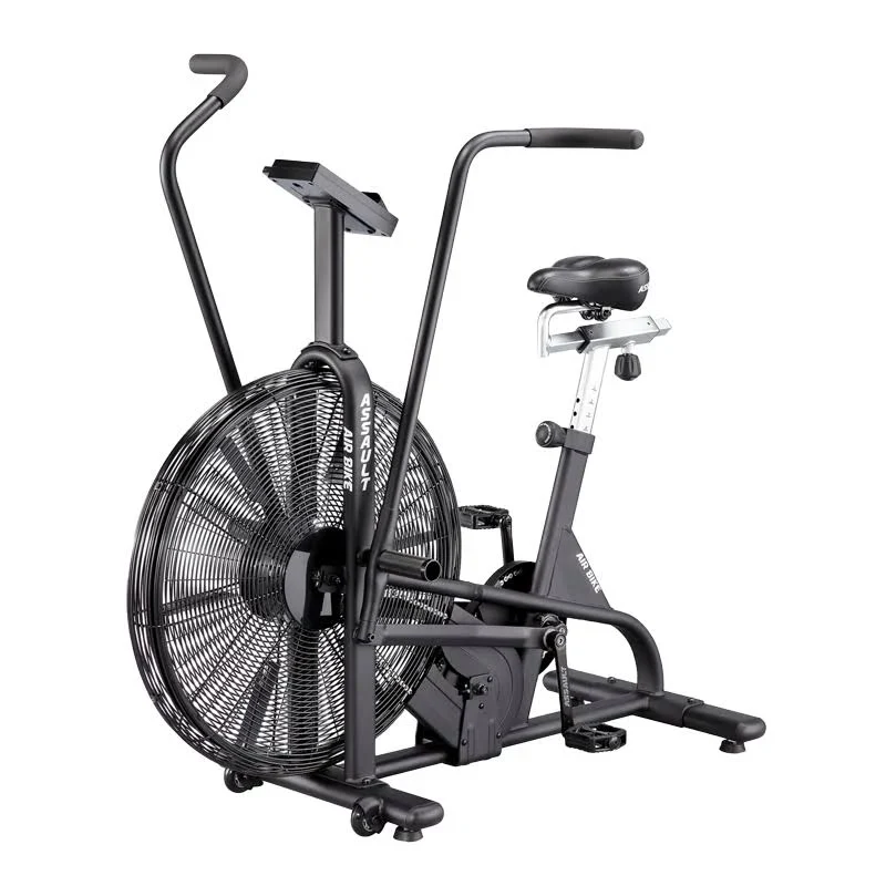 Lifecore Fitness Assault Air Bike Trainer sgtnighsdesigns