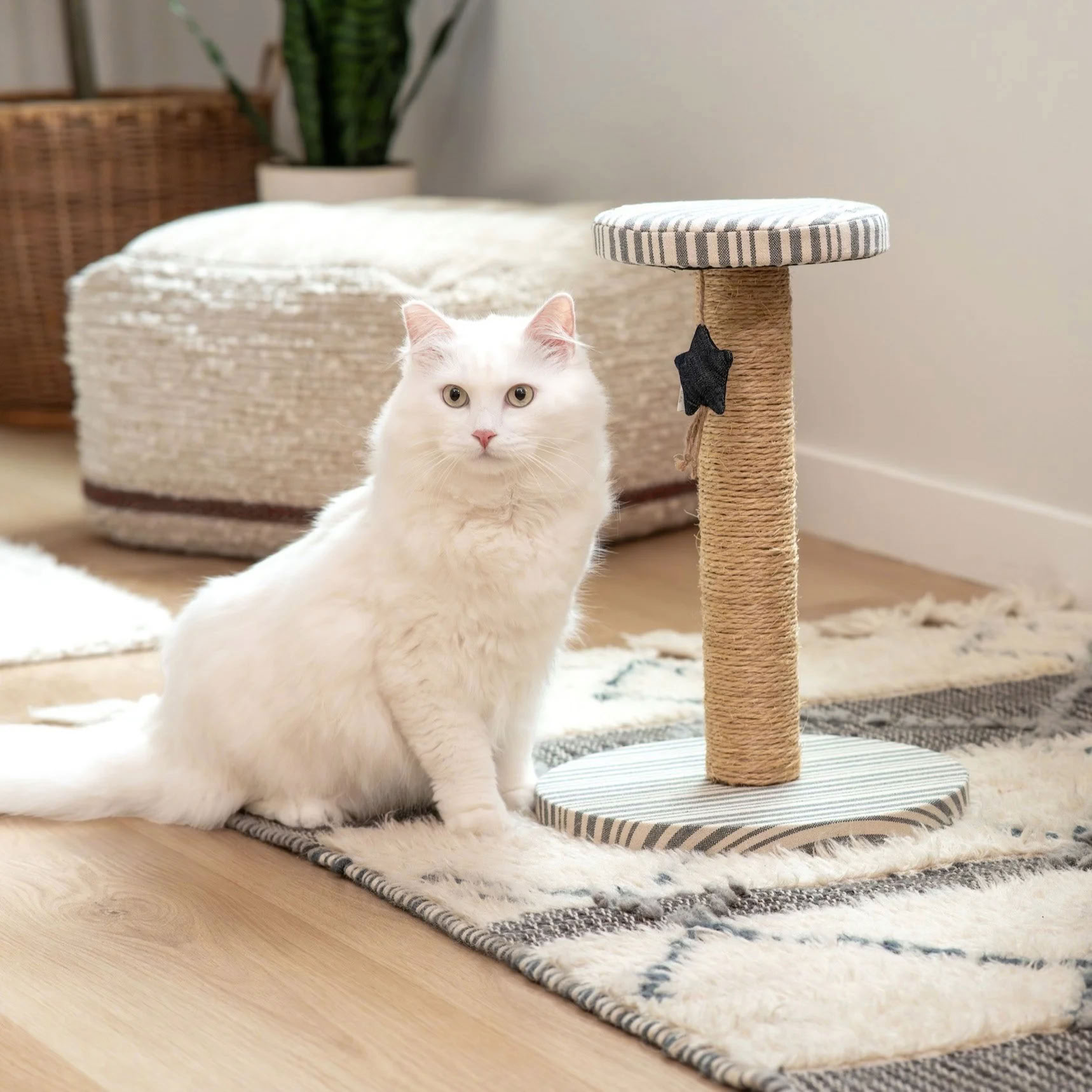 Denim Stripe Sisal Cat Post