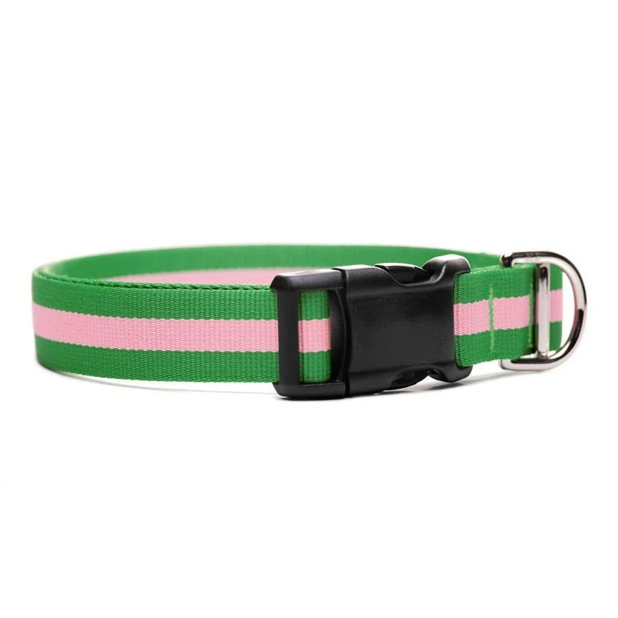 Freisse Eton Eco Collar
