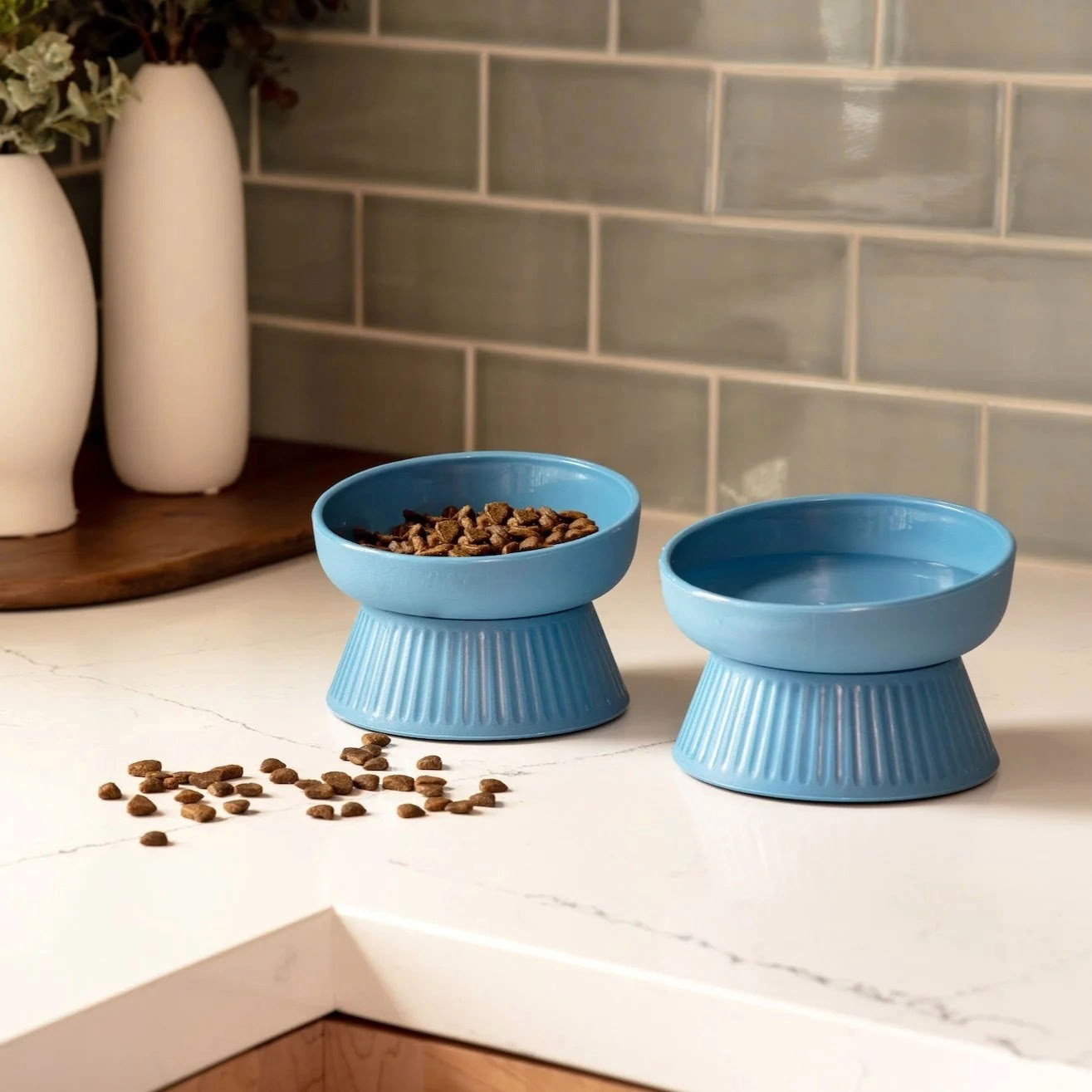 Raised Slant Modern Cat Bowls
