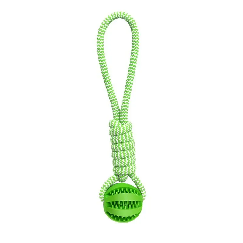 Dental Toy